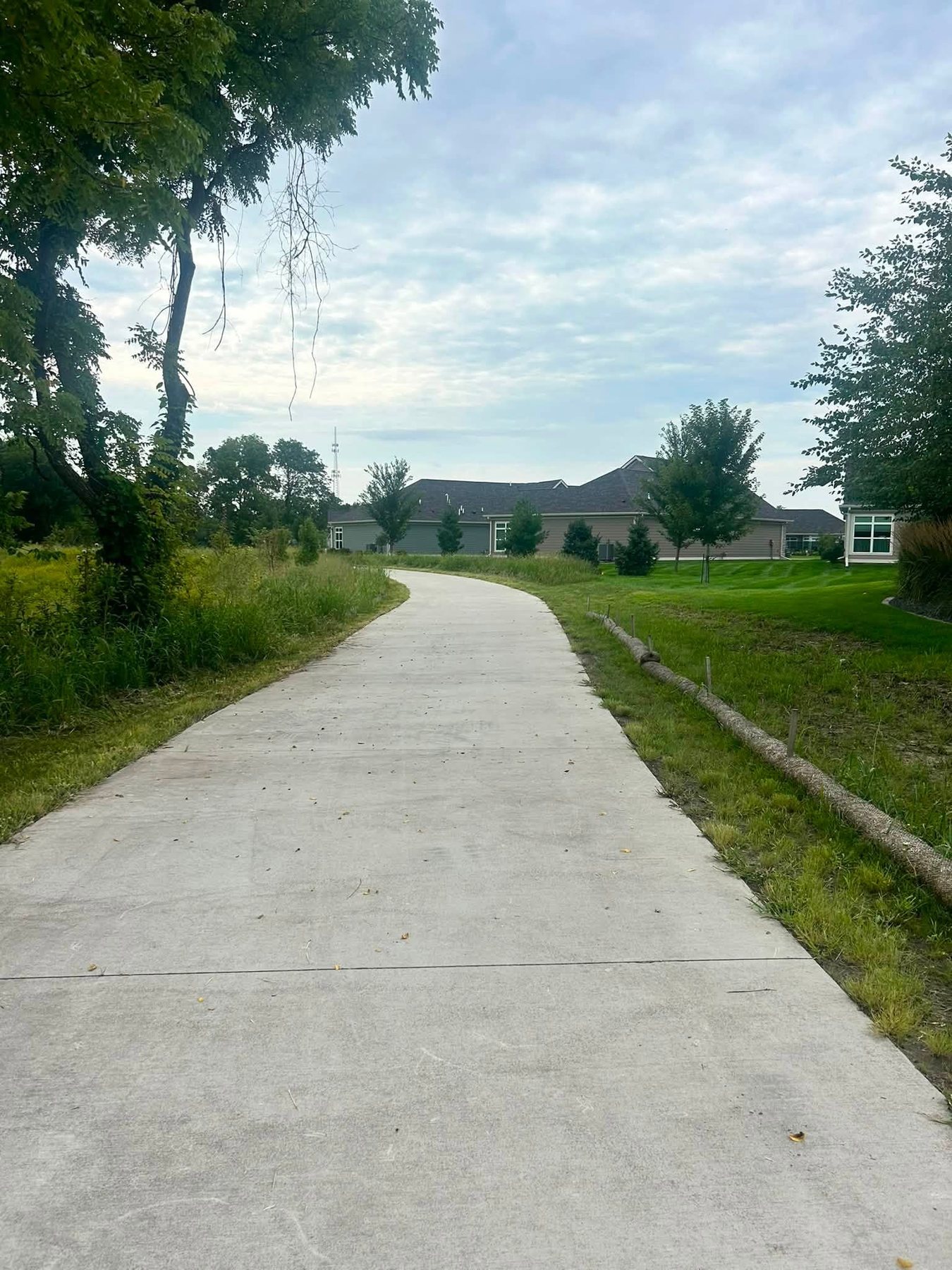Concrete path bordered by grass and landscaping